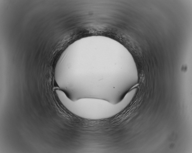 X0000097971012200804211006
