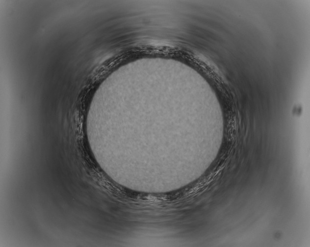 X0000097971013200804211006
