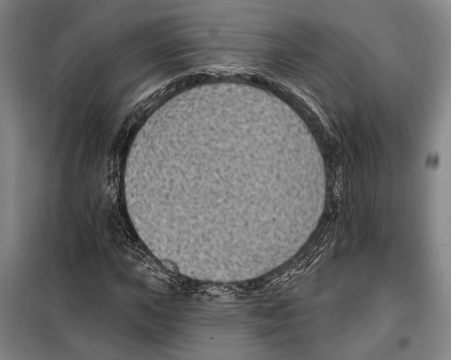 X0000097971015200804211006