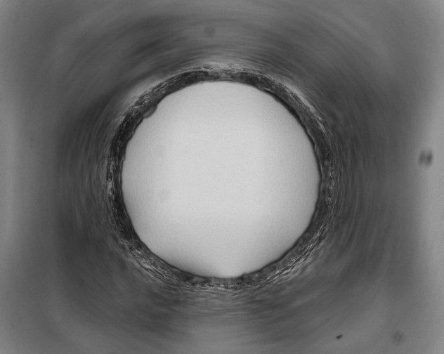 X0000097971016200804211006