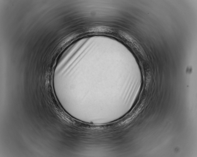 X0000097971017200804211006