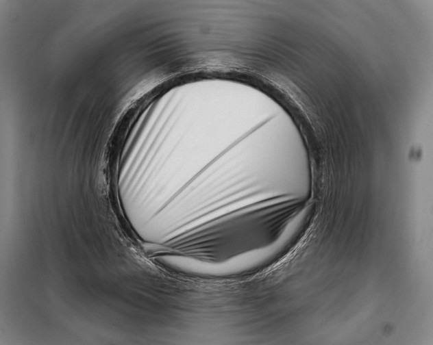 X0000097971018200804211006