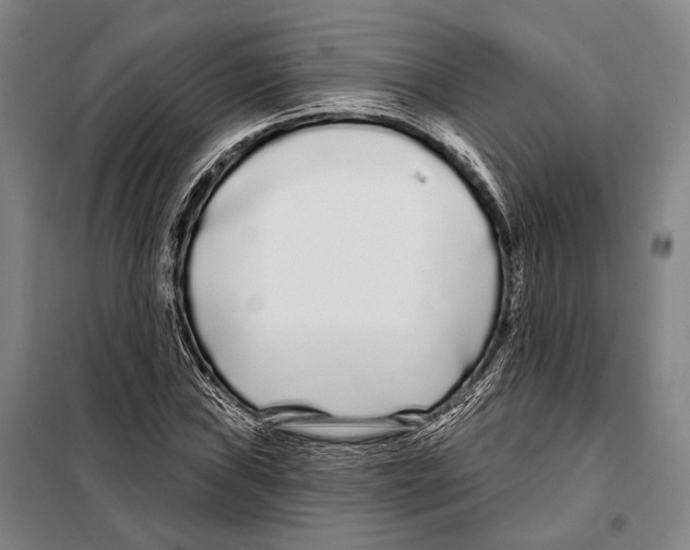 X0000097971019200804211006