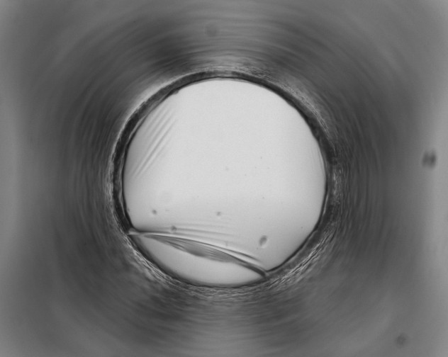 X0000097971020200804211006