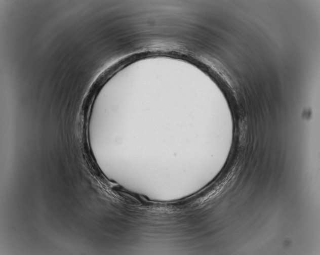 X0000097971021200804211006