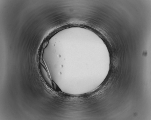 X0000097971022200804211006