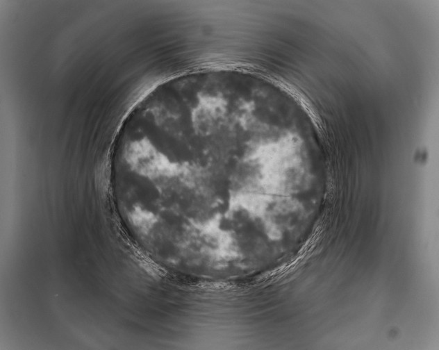 X0000097971023200804211006