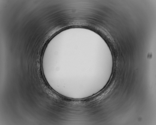 X0000097971025200804211006
