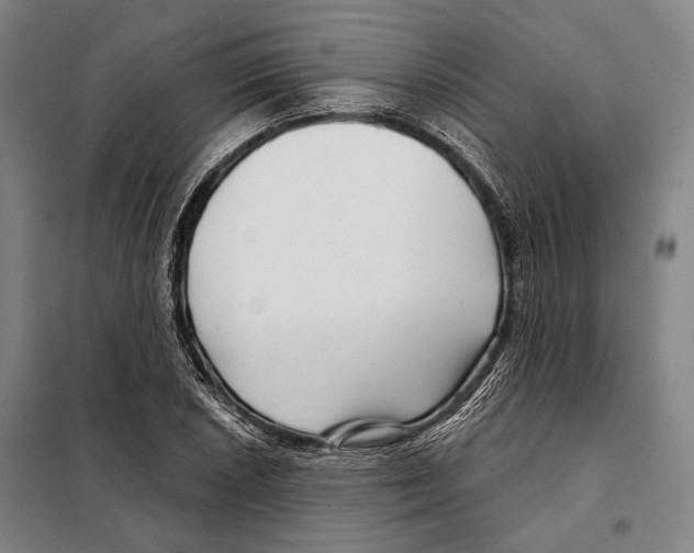 X0000097971026200804211006