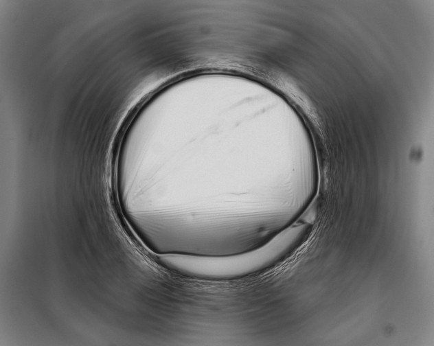X0000097971028200804211006