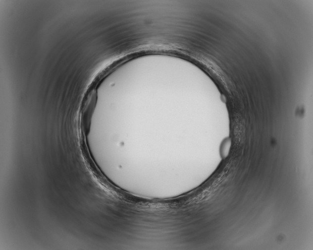 X0000097971030200804211006