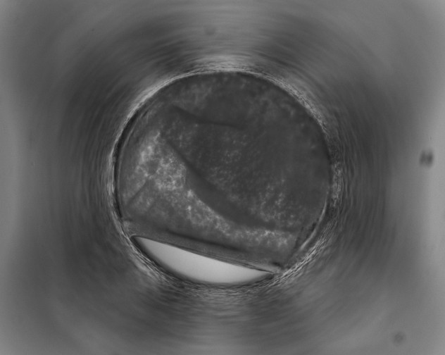 X0000097971031200804211006