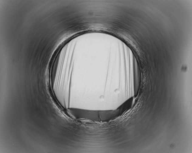 X0000097971032200804211006