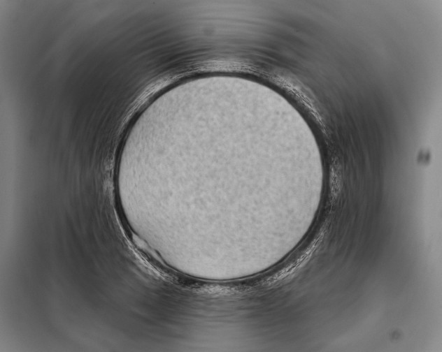 X0000097971033200804211006