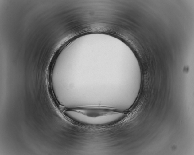 X0000097971034200804211006