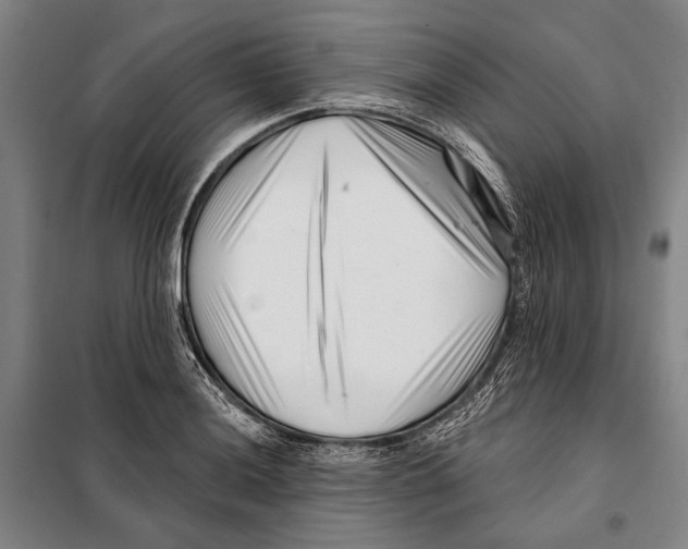 X0000097971036200804211006