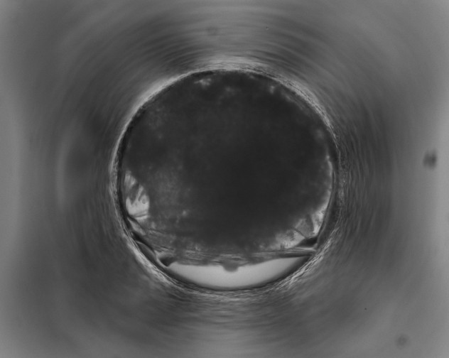 X0000097971037200804211006
