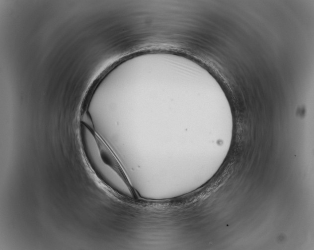 X0000097971038200804211006