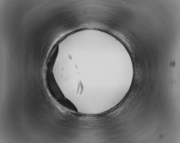 X0000097971040200804211006