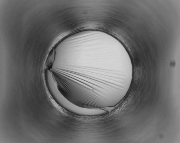 X0000097971042200804211006
