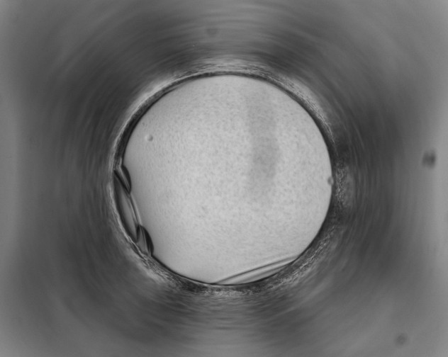X0000097971043200804211006
