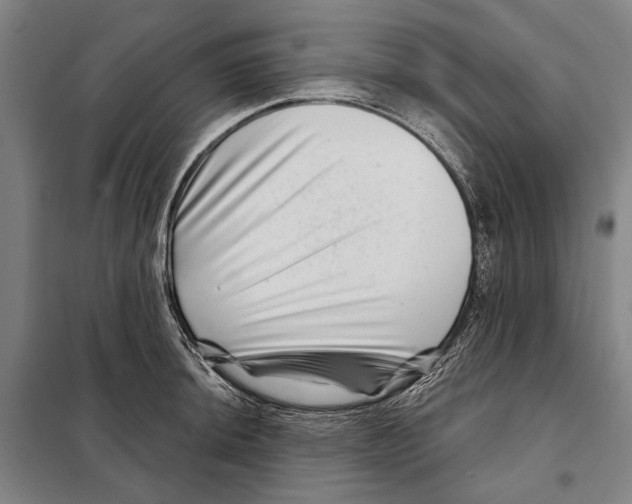 X0000097971044200804211006