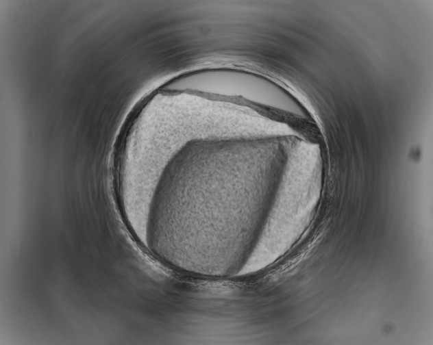 X0000097971045200804211006
