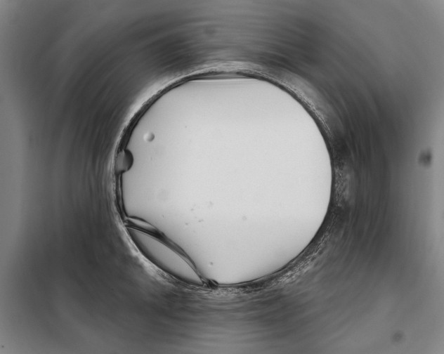 X0000097971046200804211006
