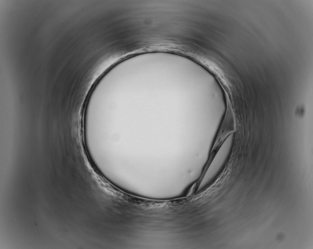 X0000097971047200804211006