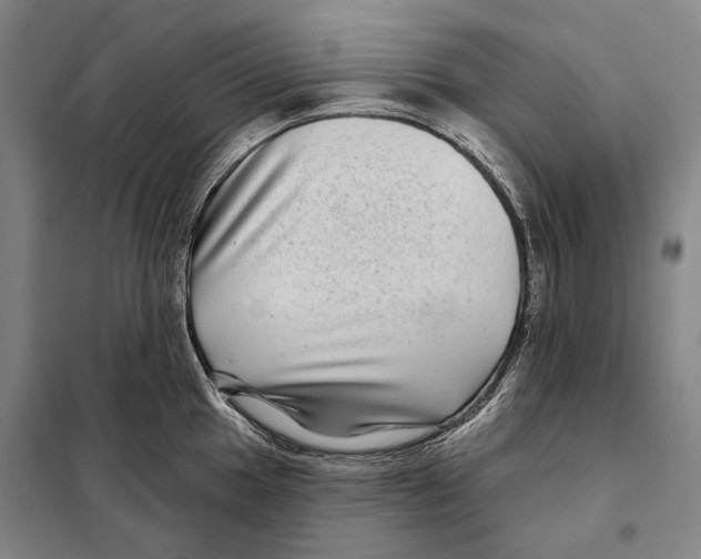 X0000097971049200804211006
