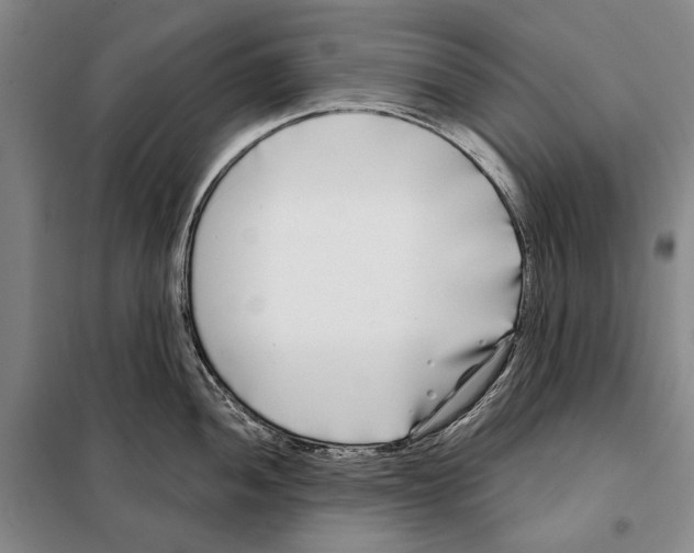 X0000097971052200804211006