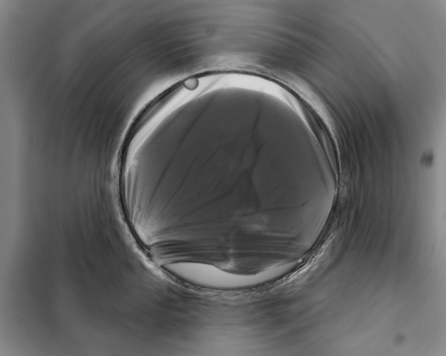 X0000097971053200804211006