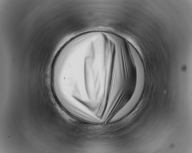 X0000097971054200804211006