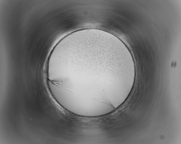 X0000097971056200804211006