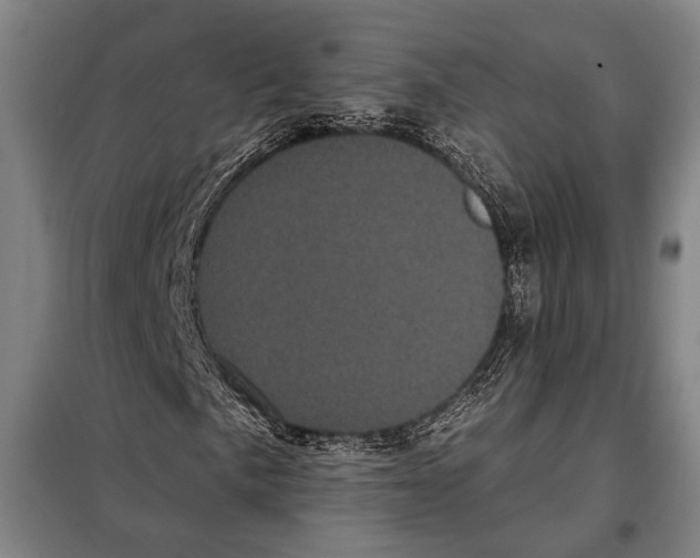X0000097971057200804211006