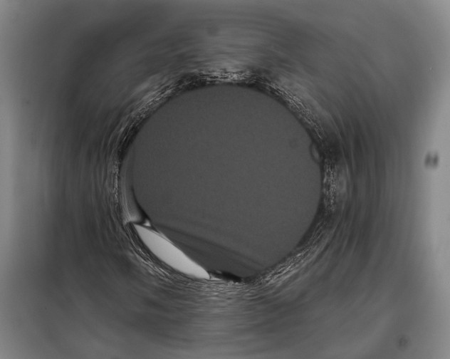 X0000097971058200804211006