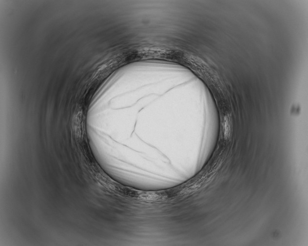 X0000097971059200804211006