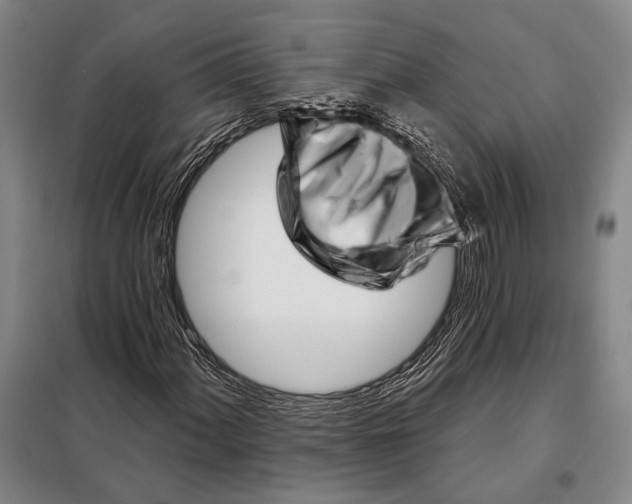 X0000097971060200804211006