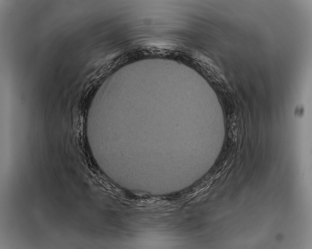X0000097971061200804211006