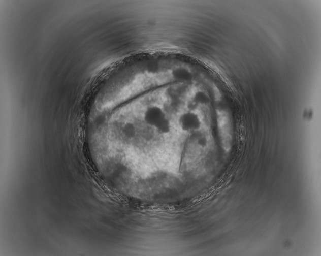 X0000097971063200804211006