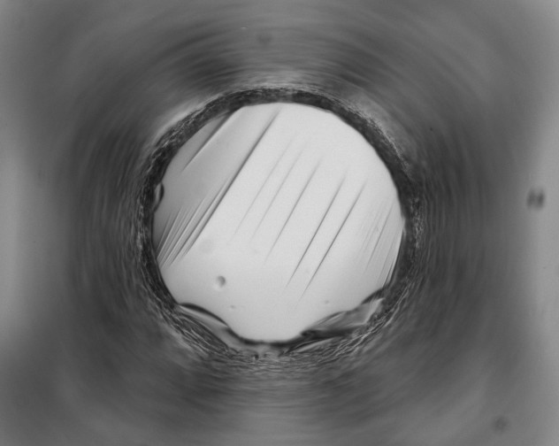 X0000097971064200804211006