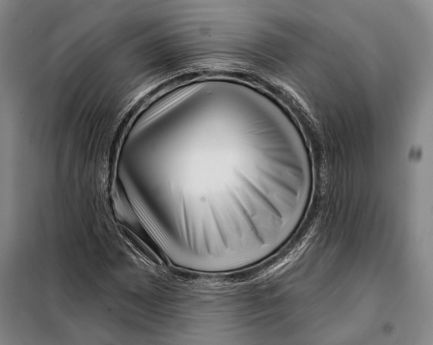 X0000097971065200804211006