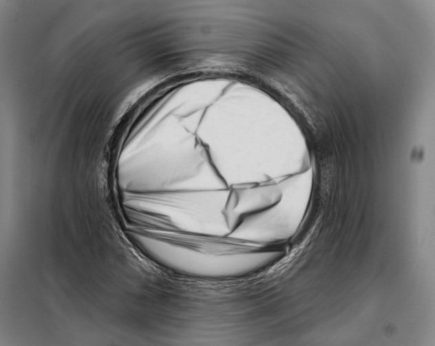 X0000097971066200804211005