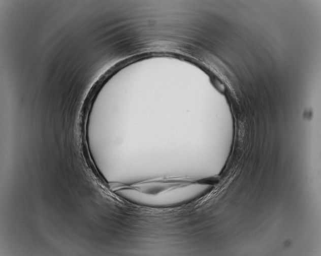 X0000097971068200804211005