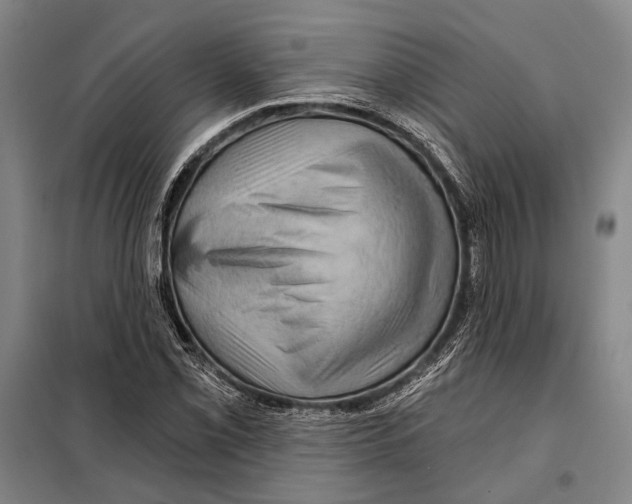 X0000097971069200804211005