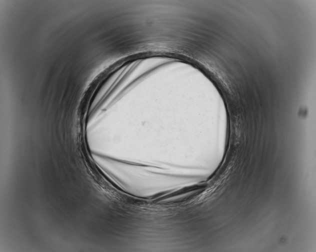 X0000097971070200804211005