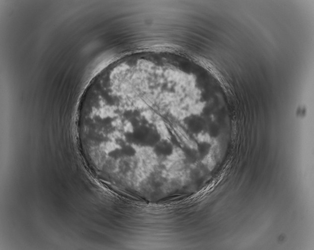 X0000097971071200804211005