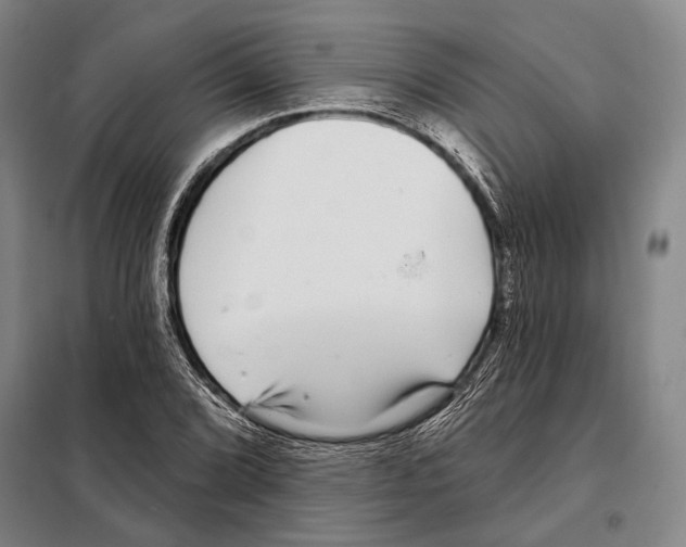 X0000097971072200804211005