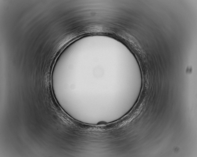 X0000097971073200804211005