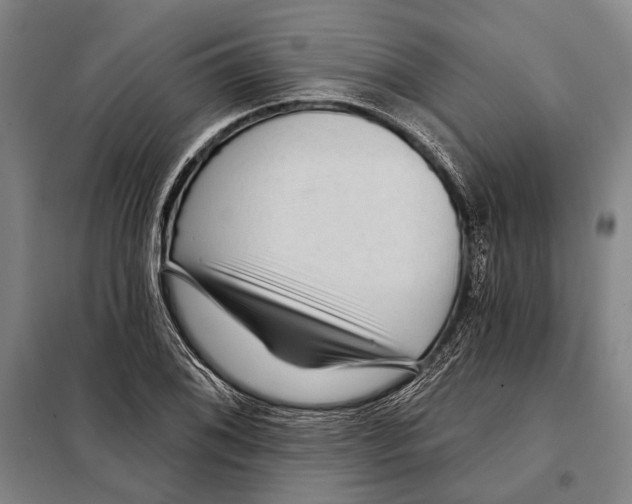 X0000097971076200804211005